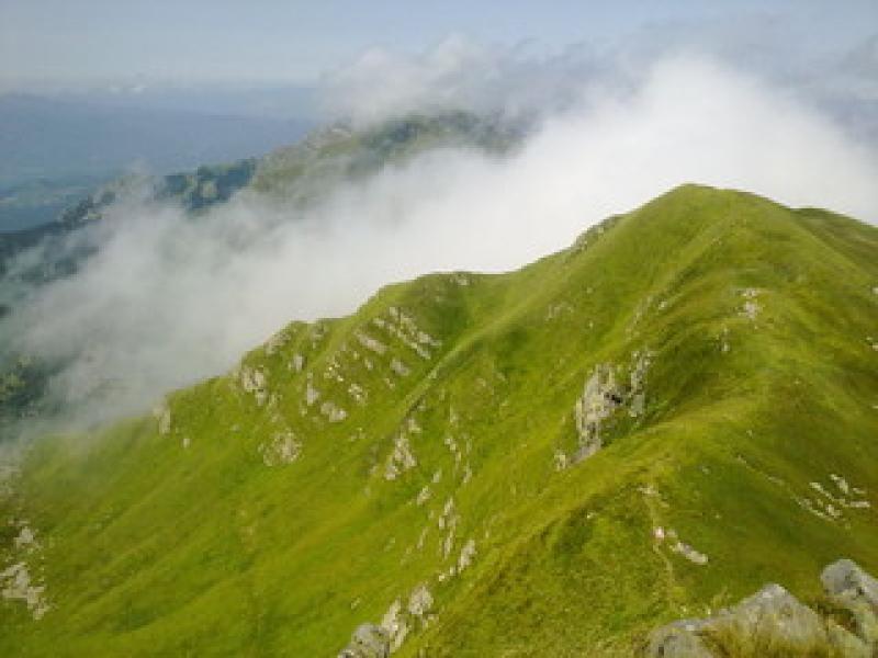 Monte Orsaro: l'abito estivo della montagna...