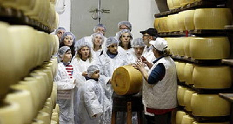 Torna "Caseifici aperti&rdquo;: ecco dove