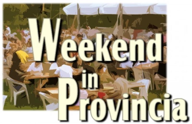 Tutti gli appuntamenti della domenica, dalla Bassa all'Appennino