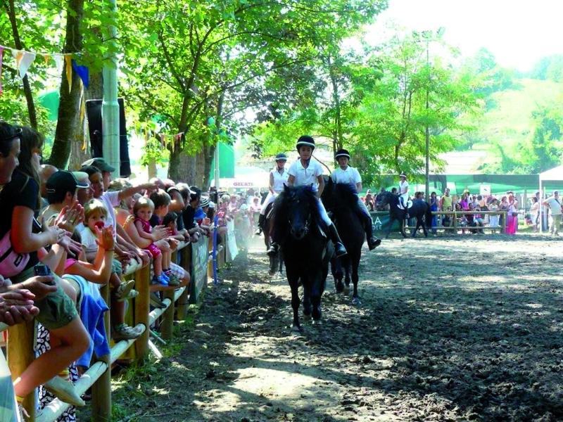 Cavalli, fiere e... tanto gusto