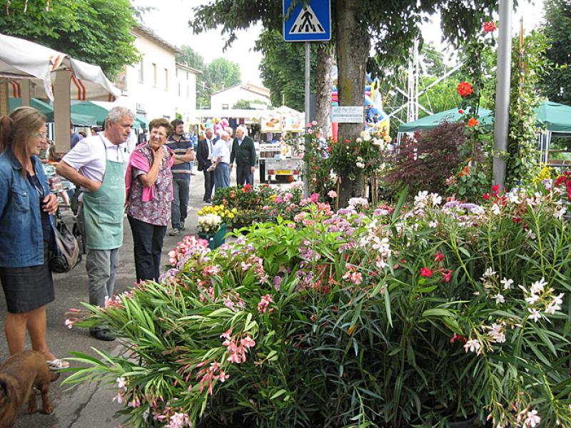 La tradizionale Sagra delle Rose 