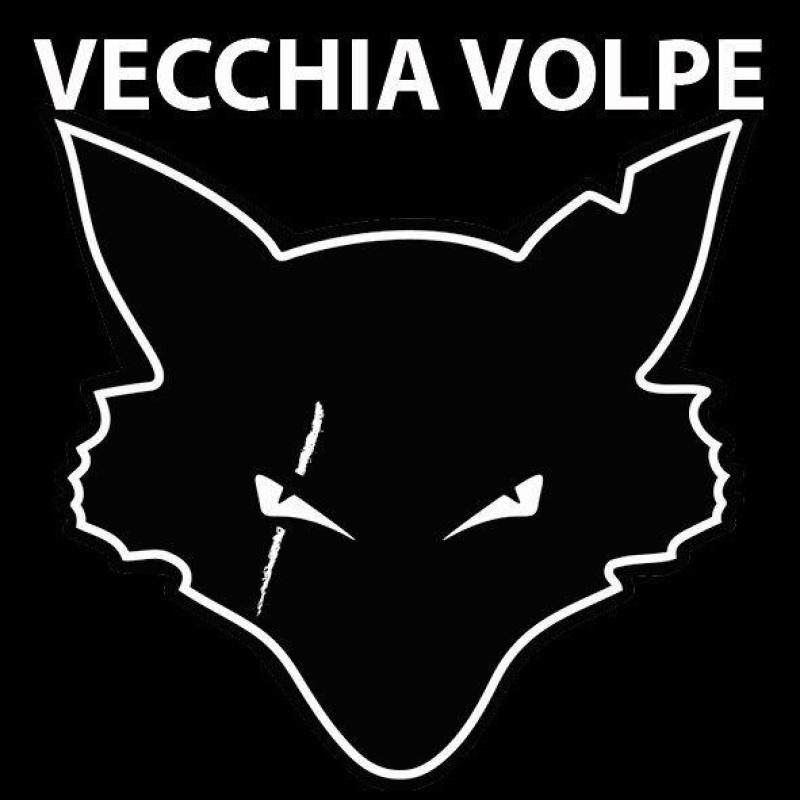 Transylvania + Megawatt in concerto