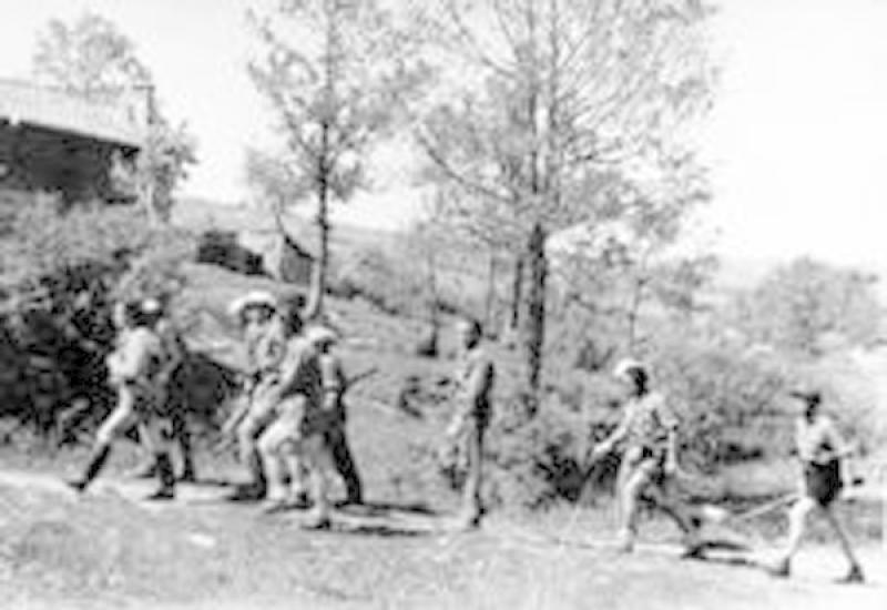 Fascismo, guerra e Resistenza nel Parmense