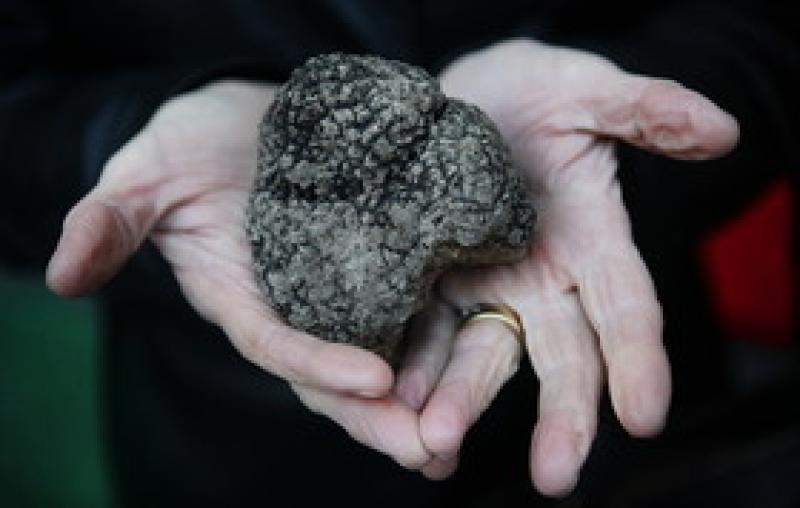 Tartufi, castagne, cioccolato...