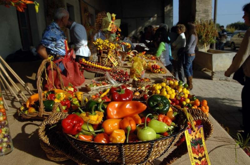 Mostra mercato del peperoncino