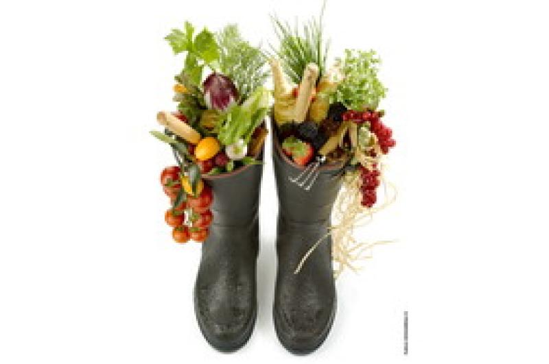 CibusLand porta a Parma il Festival internazionale di Fotografia culinaria 