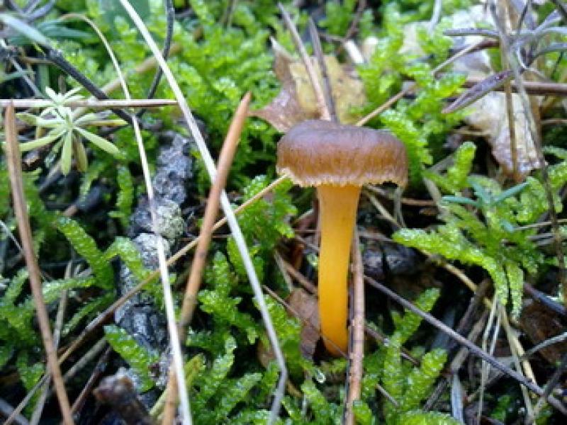 Escursione: l'anello del Molinatico 