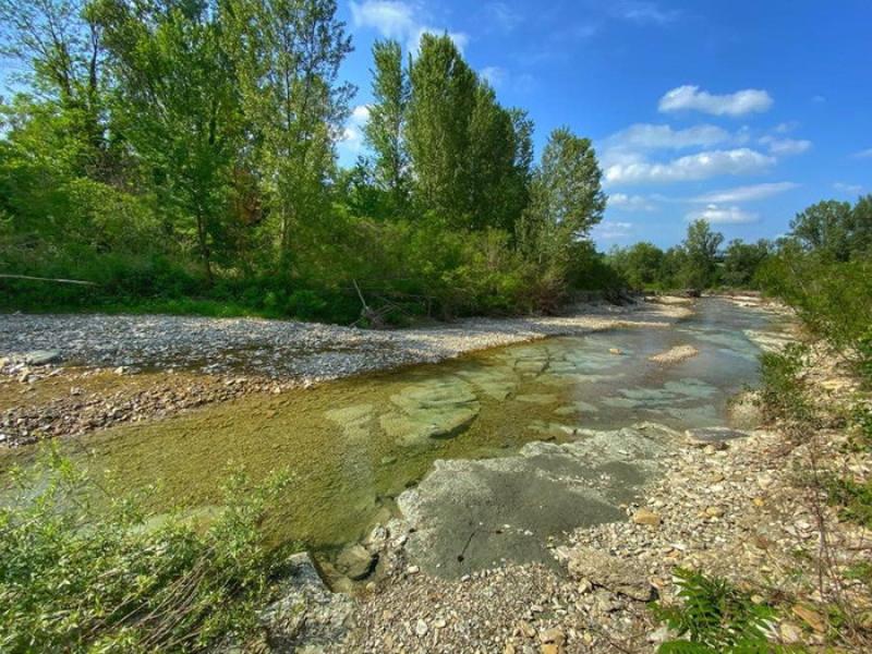 In Stirone &laquo;C'era una volta il mare&raquo;  