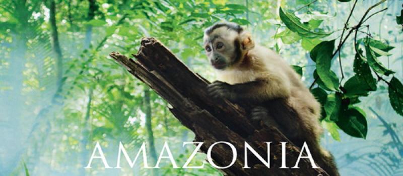 Documentario &laquo;Amazzonia  nei cinema&raquo;