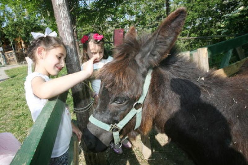 Fattorie da scoprire 