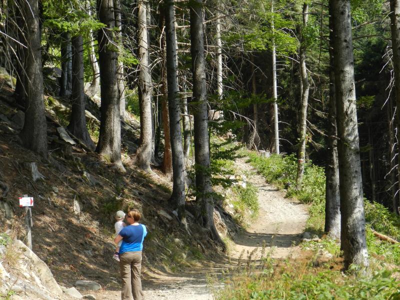 Gita alla scoperta dell'agricoltura tradizionale