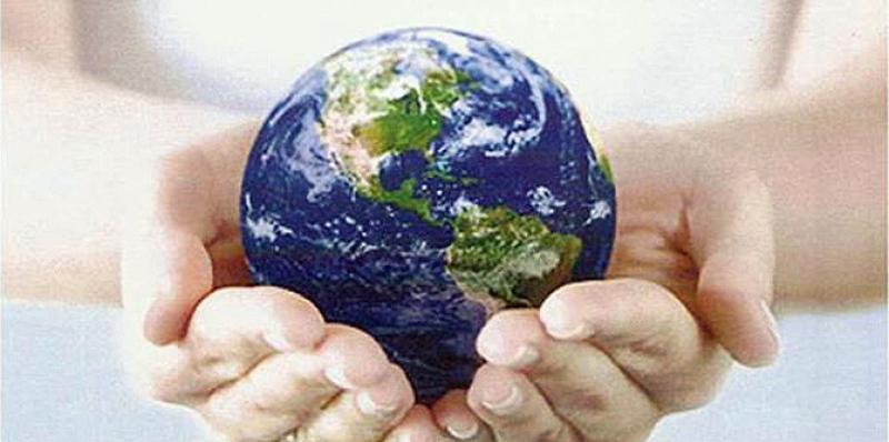 Tutto sui Microrganismi effettivi 