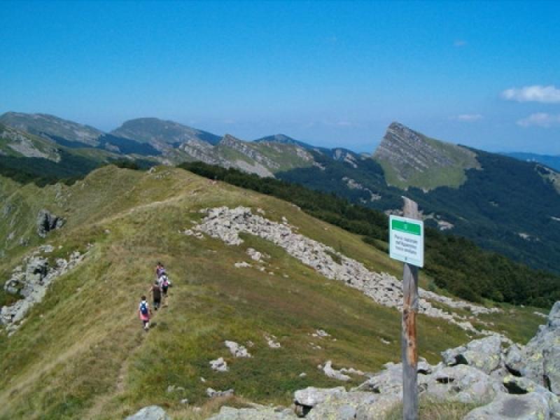 Due passi tra le stelle 