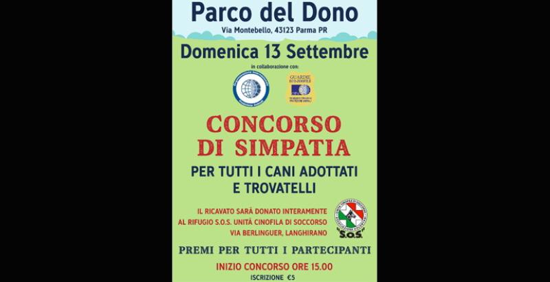 Concorso Simpatia per tutti i cani trovatelli