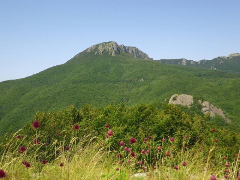 Trekking serale con cena gourmand al laghetto del Groppo