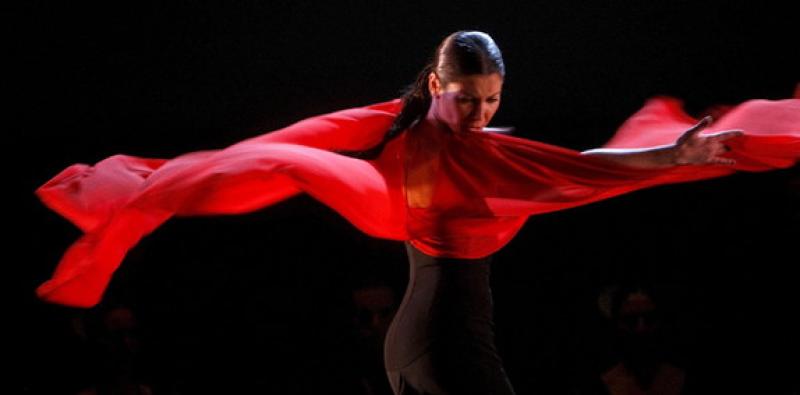 Alla scoperta dell'arte del flamenco