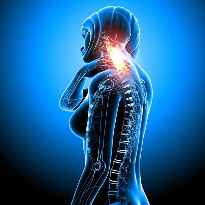 Seminario di Osteofluidica Cranio Sacrale 