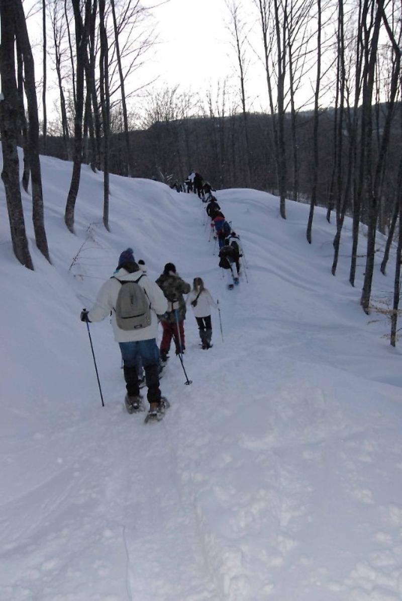 Escursione a 4 zampe