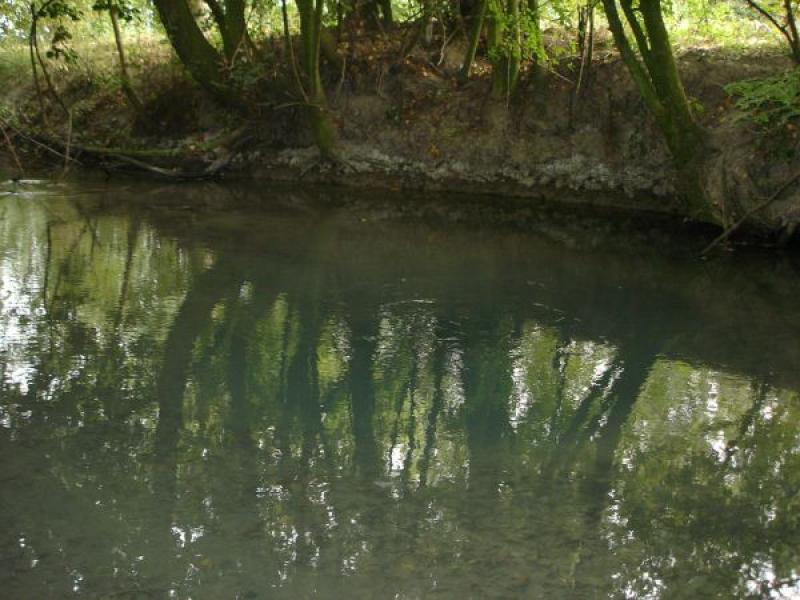 Visita guidata  ai Fontanili  di Viarolo