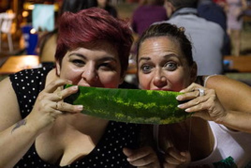 Cocomerata contro l'abbandono degli animali