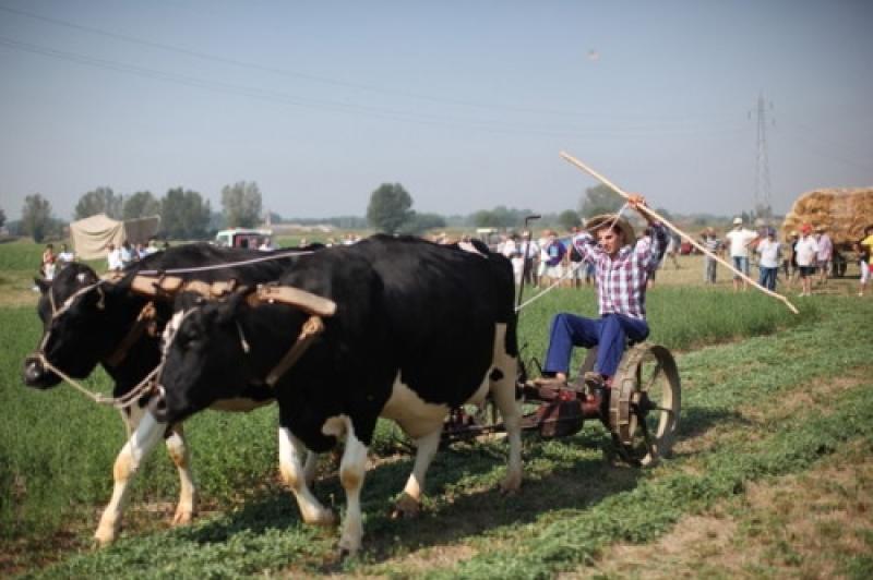 Arriva la festa del contadino