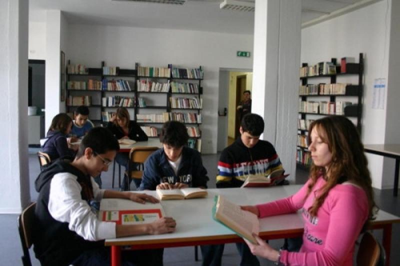 L'invasione delle cavallette