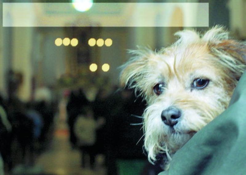 Sant'Antonio Abate a Tabiano Bagni