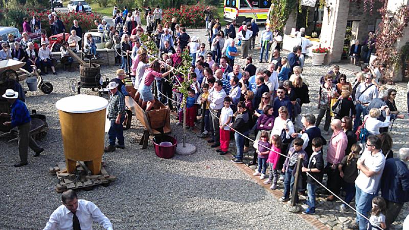Il profumo dell'uva dentro la tinozza