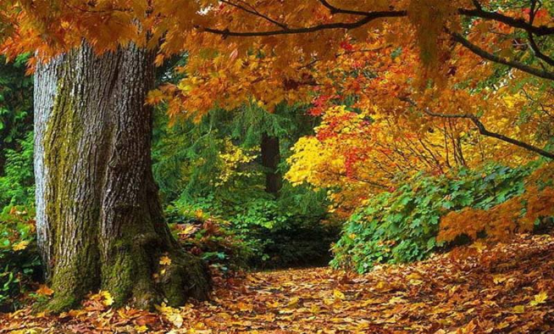Sull'Alta via dei monti liguri per scoprire &laquo;Il meteorite&raquo;
