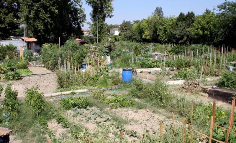 Via del Garda, si ride  con il dialetto