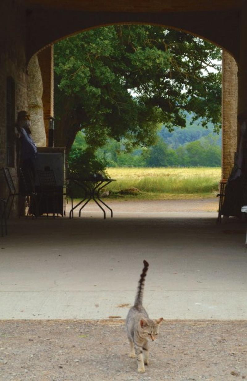 Fattorie Aperte nei Boschi di Carrega