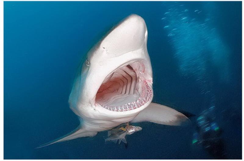 Audiovisivi di Denis Palbiani nel cortile della Civica