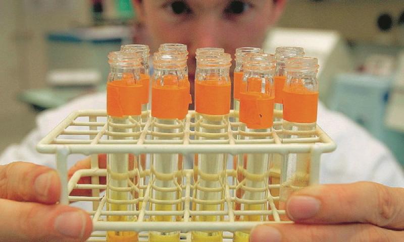 Tumore ovarico, incontro a Moletolo