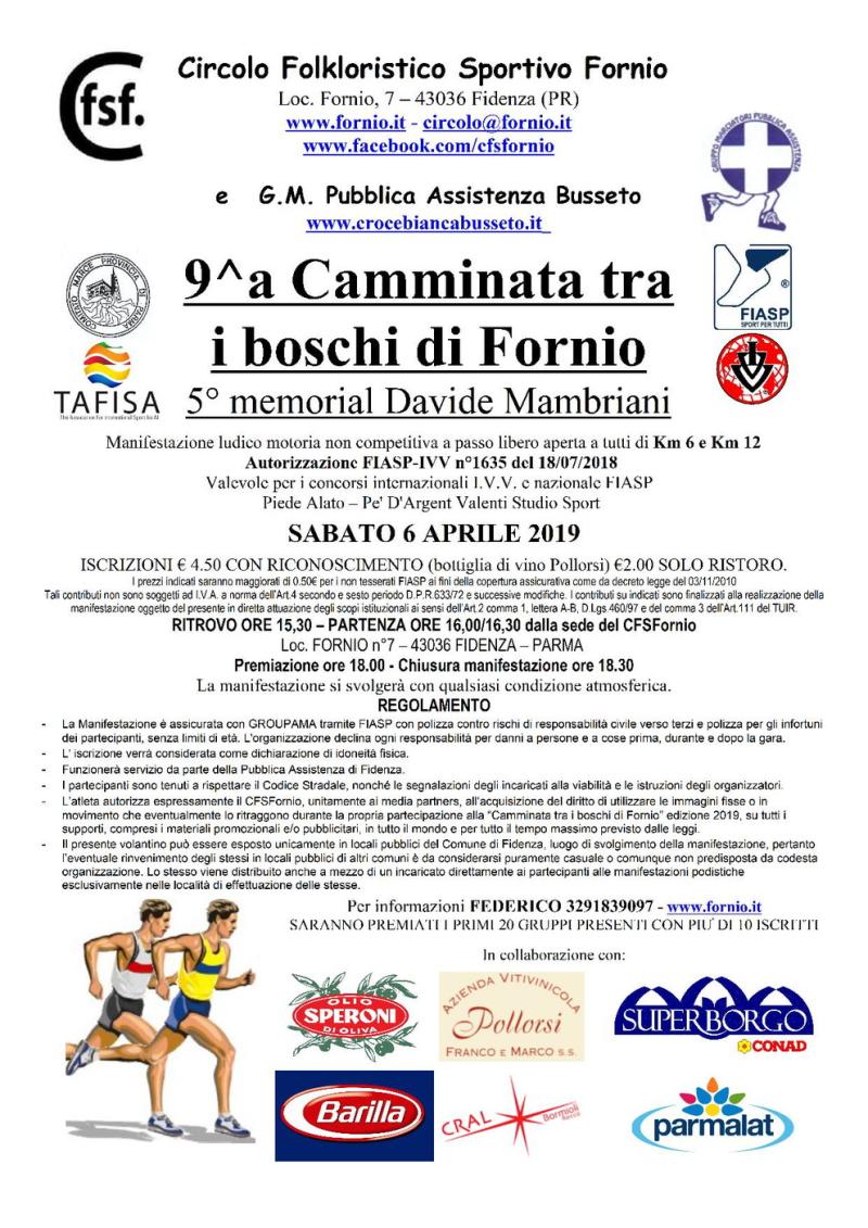 Camminata tra i boschi di Fornio