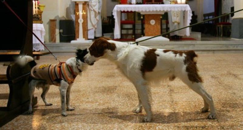 Borghetto in festa per gli animali
