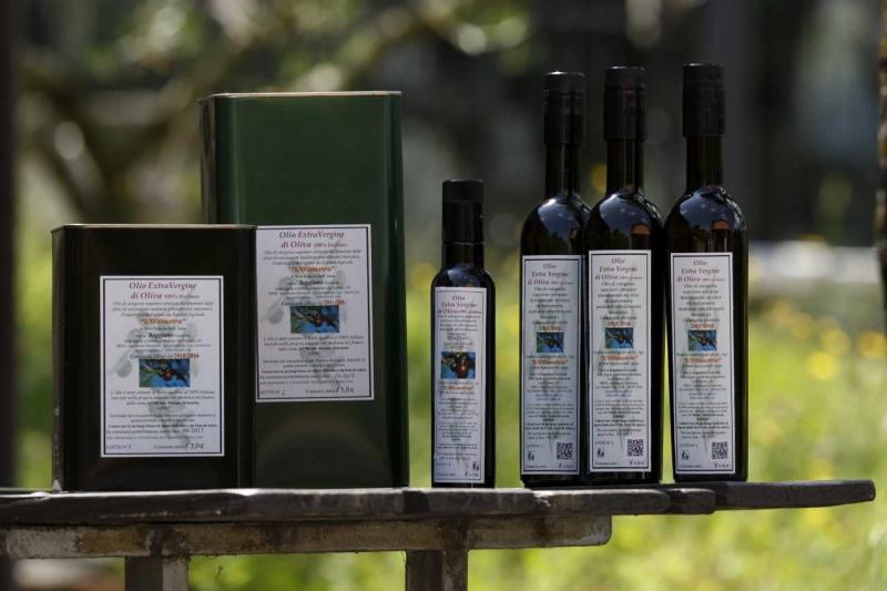 "Conosciamo la cultivar Olivastra Seggianese" al Rural Market