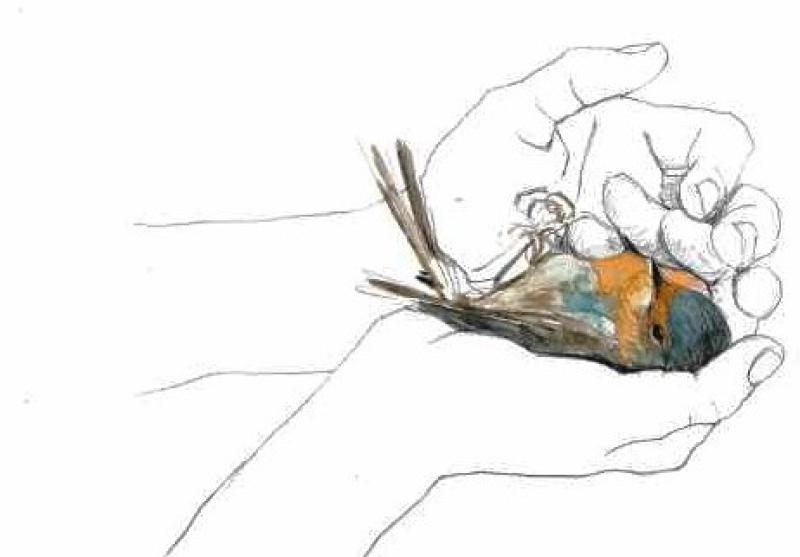 &ldquo;Nel mistero di tutte le cose&rdquo;, il primo incontro con Giovanna Zoboli