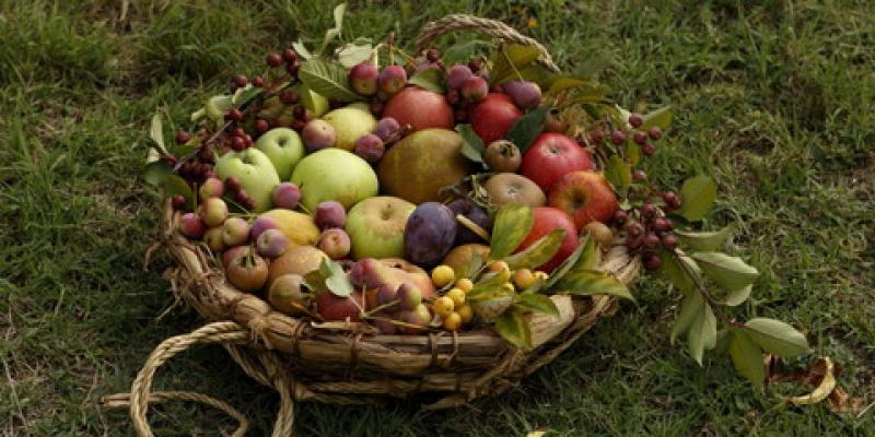 Il sidro di Corniglio al Rural Market 