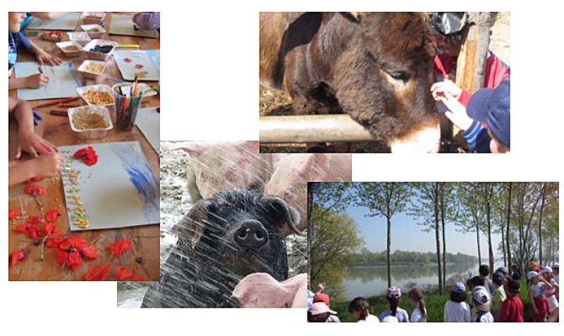 Festa d'autunno delle Fattorie didattiche