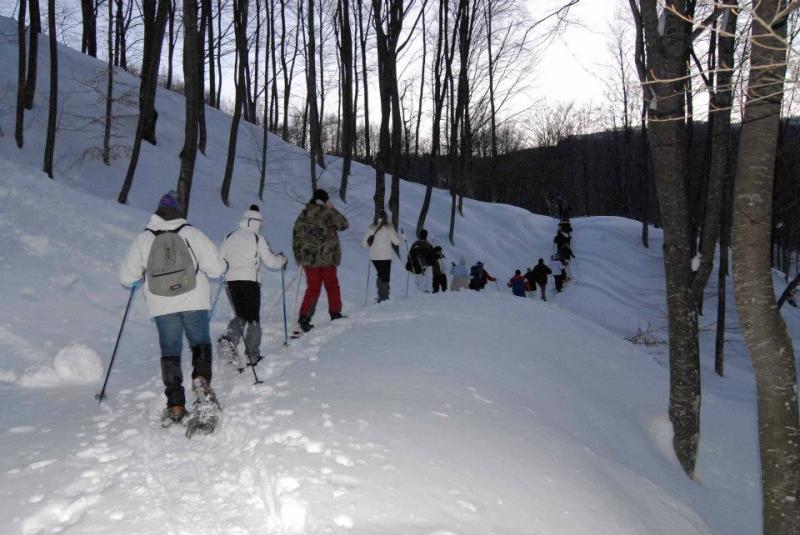 Escursionisti domenica in  Val Cedra