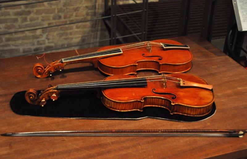 Libri e musica, incontri nel parco