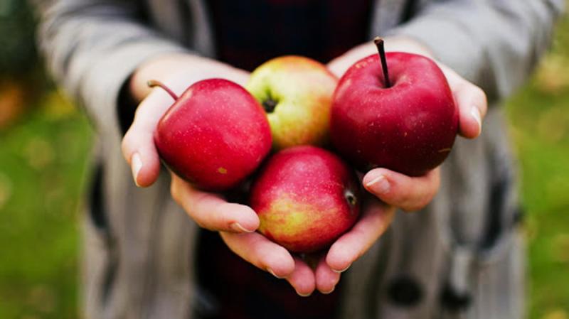 A Medesano le mele solidali per la ricerca