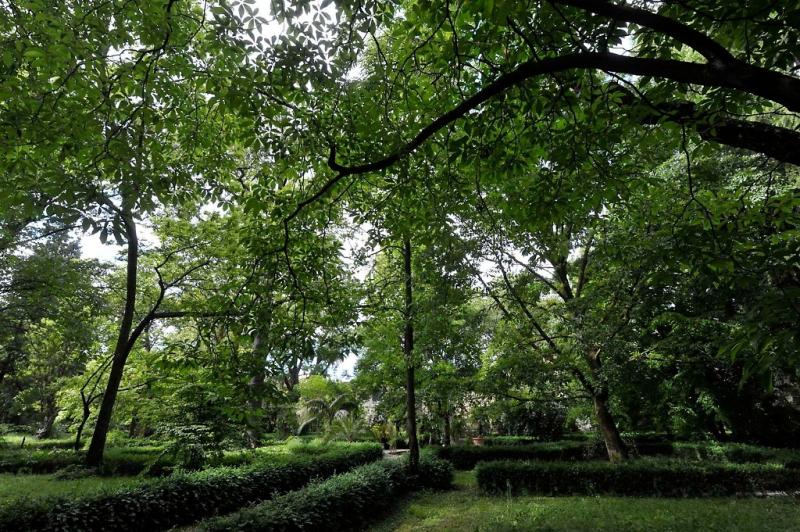 Orto Botanico: apertura straordinaria  al profumo di Violetta di Parma