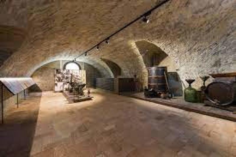 Un libro sulla Malvasia di Parma