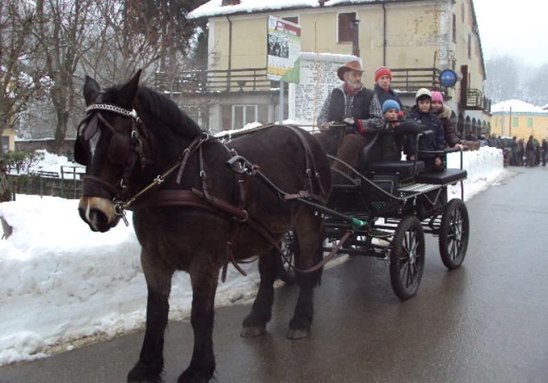 Marted&igrave; torna ad Anzola la fiera di Sant'Antonio 