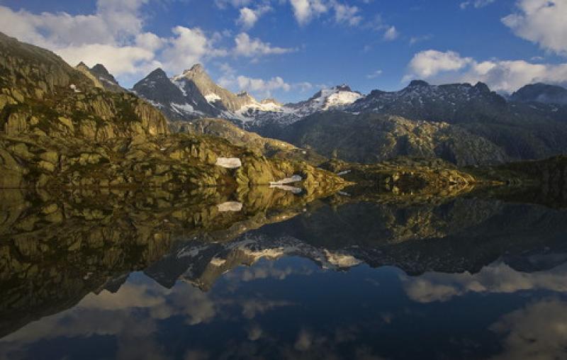 "Natura tra le pagine": il 4 febbraio l'inaugurazione 