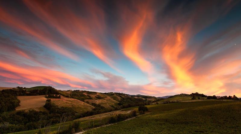 Camminata bio a Monte delle Vigne 
