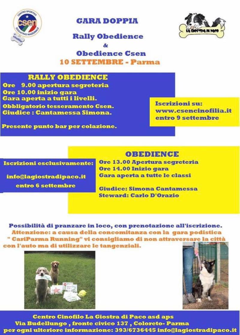 Gara doppia Rally Obedience e Obedience