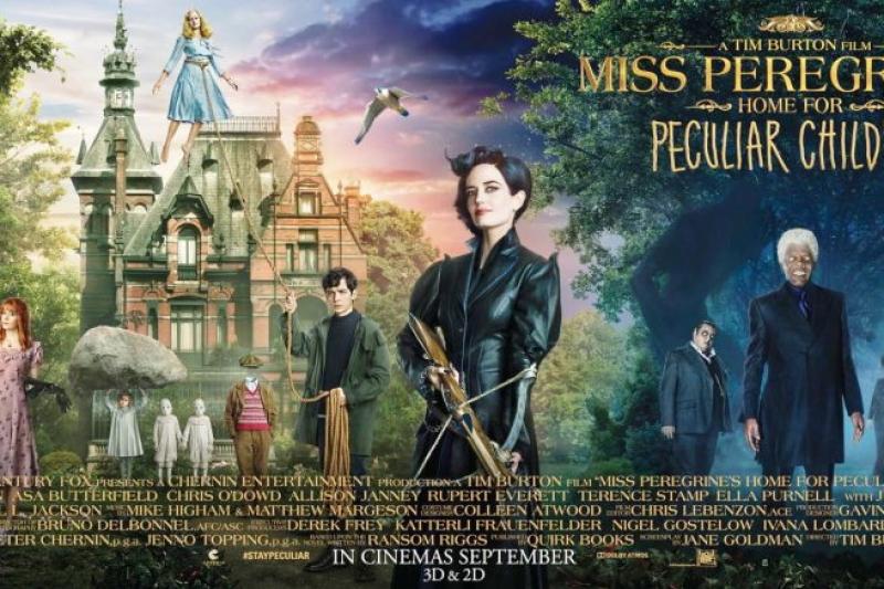 Il cinema di sera al Circolo il Portico