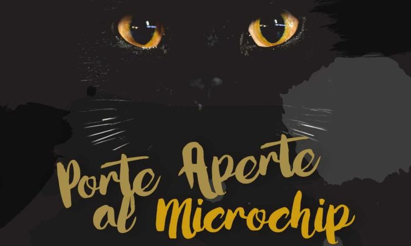 Gatti, il 13 aprile il microchip &egrave; gratis